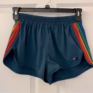 NWOT - Aviator Nation Women’s Flex Stripe Board Shorts (L in RARE* blue shade)